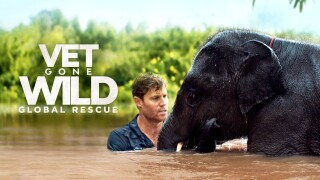 Vet Gone Wild: Global Rescue