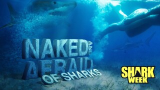 Naked and Afraid of Sharks