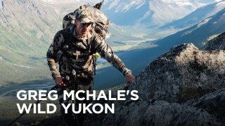 Greg McHale's Wild Yukon