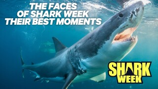 The Faces of Shark Week: Their Best Moments