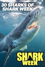 30 Sharks of Shark Week