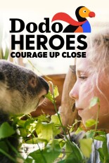 Dodo Heroes: Courage Up Close