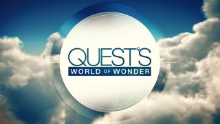 Quest's World of Wonder