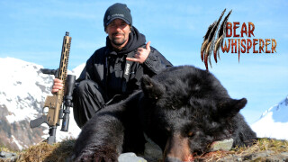 Bear Whisperer