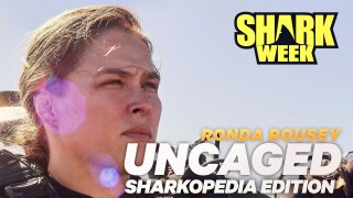 Ronda Rousey Uncaged: Sharkopedia Edition