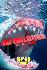 Megalodon: Fact vs. Fiction