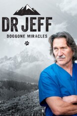 Dr. Jeff: Doggone Miracles