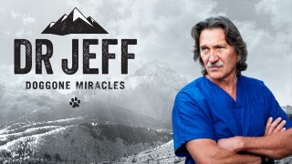 Dr. Jeff: Doggone Miracles