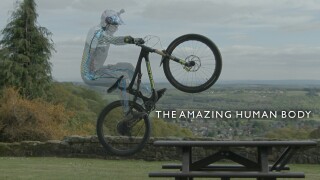 The Amazing Human Body