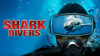 Shark Divers