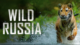 Wild Russia