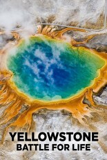 Planet Earth: Yellowstone