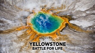 Planet Earth: Yellowstone