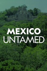 Mexico Untamed