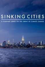 Sinking Cities