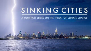 Sinking Cities