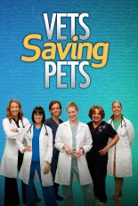 Vets Saving Pets