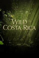 Wild Costa Rica