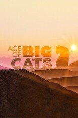 Age of Big Cats