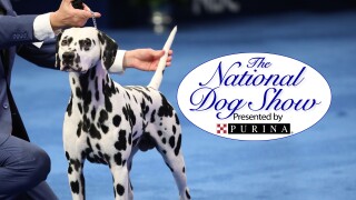 The National Dog Show