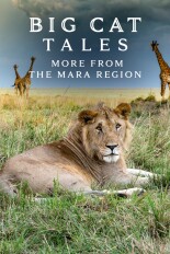 Big Cat Tales: More From the Mara Region