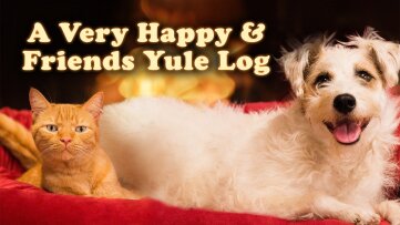 A Very Happy & Friends Yule Log