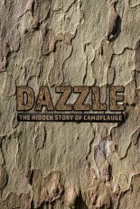 Dazzle: The Hidden Story of Camouflage