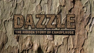 Dazzle: The Hidden Story of Camouflage