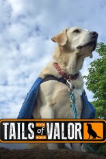 Tails of Valor