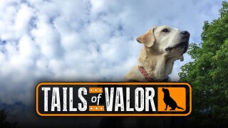 Tails of Valor