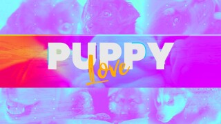 Puppy Love