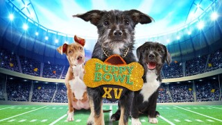 Puppy Bowl XV