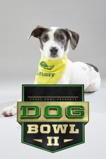 Puppy Bowl XV Presents: The Dog Bowl II