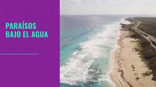 Paraísos bajo el agua