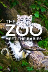 The Zoo: Meet the Babies