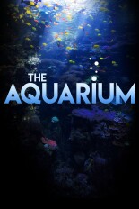 The Aquarium