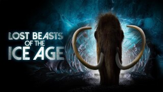 Lost Beasts of the Ice Age