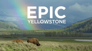 Epic Yellowstone