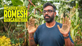 The Misadventures of Romesh Ranganathan