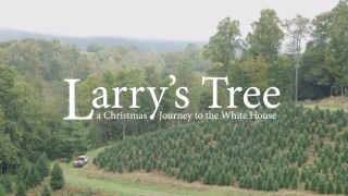 Larry's Tree: A Christmas Journey to the White House