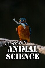 Xploration Animal Science