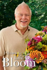 J Schwanke's Life in Bloom
