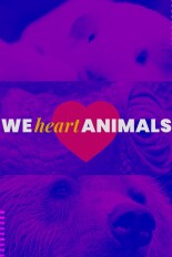 We Heart Animals