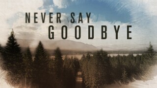 Never Say Goodbye