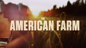 The American Farm