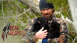 Bear Whisperer