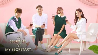 The Secret Life of My Secretary