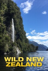 Wild New Zealand