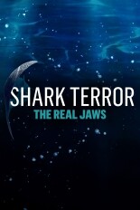 Shark Terror: The Real Jaws