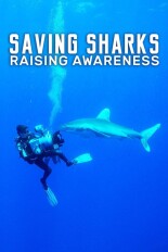 Saving Sharks: Raising Awareness